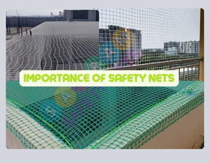 Importance of Safety Nets